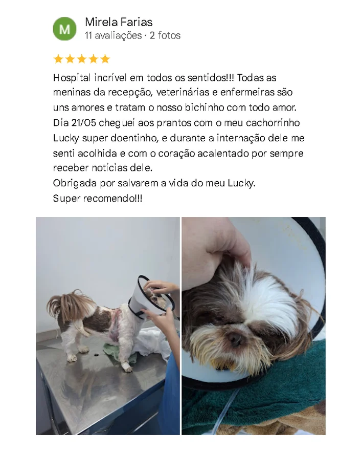 Avaliação de cliente no Google sobre o Santa Vida