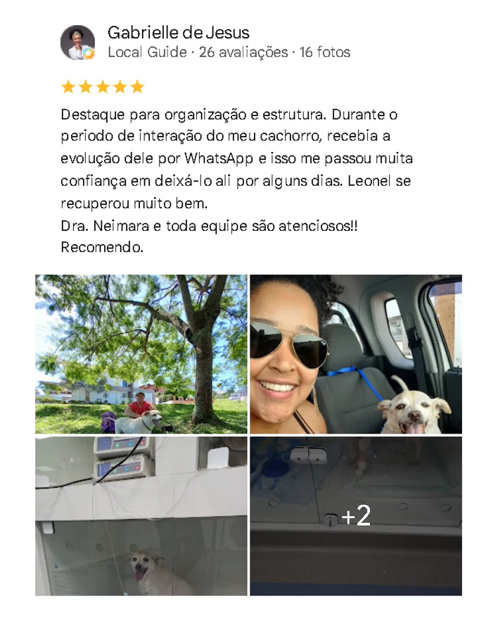 Avaliação de cliente no Google sobre o Santa Vida