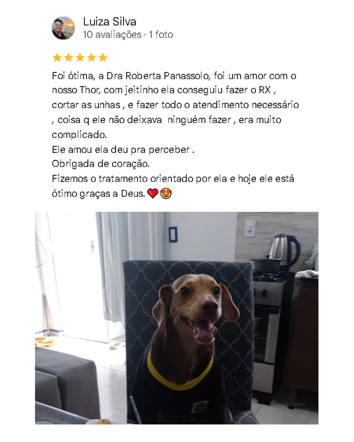 Avaliação de cliente no Google sobre o Santa Vida