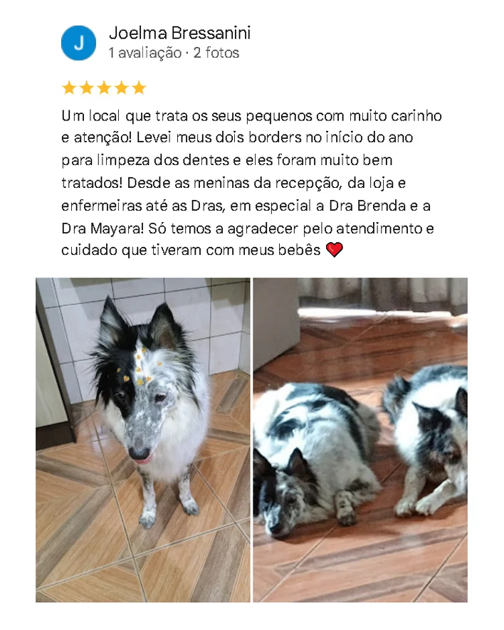 Avaliação de cliente no Google sobre o Santa Vida
