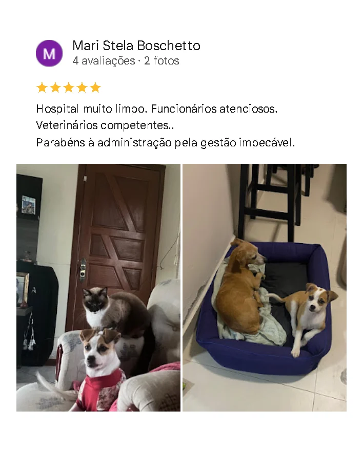 Avaliação de cliente no Google sobre o Santa Vida